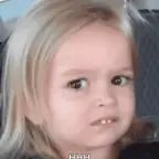 Recording 08/24/25 15:39:33