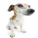 When I Met You In The Summer