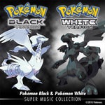 Driftveil City Pokémon Black White