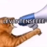 LEVANTANSE!!!!!!!!!!!!