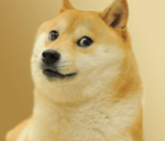 Doge Wow Sound Effect