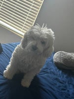 Where are your fingers