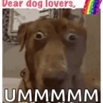 ssstik.io_1772488042240