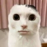 nu ma da cu capu de calorifer Mami Mami😭😭 - edy