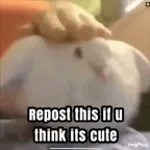 Big borb mating call