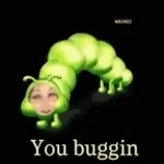 Buggin