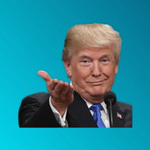 Pay for the wall - Sound