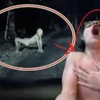 Интро Mr.DeKart