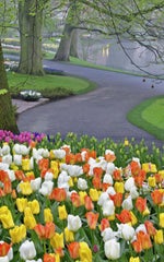 Alok x Ella Eyre x Kenny Dope feat