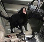 Rock N Roll McDonalds