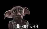 dobby is free