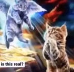 u are my sunshine baby