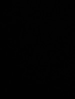 Coyote theory This Side Of Paradise (Lyrics) so if you re lonel