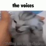 MI BOMBO VOICE CRACK