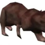 low quality gangam style . (copy)