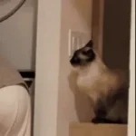 A Teraz Idziemy Na Jednego