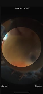 Fortnite scammer gets scamed