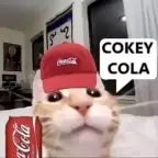 cokey cola