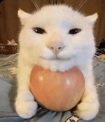 uuuuuuuuuuuu - Sound