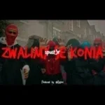 SPUST3R - ZWALIMY SE KONIA