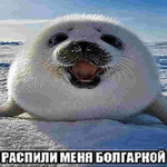 und in different languages