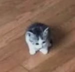 do you want to be my girlfriend