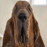 herro AAAAAAAAAAAAAAAAAAAAAAAAAAAAAAAAAAAAAAAAAAAAAAHHHHHHHHHHH