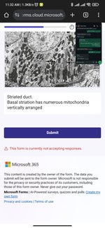 Audio 2025 05 05 02 37 07