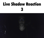 six dollar shrimp special