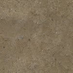 INTERWORLD, MoonDeity One Chance (PHONK)