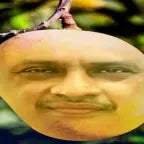 armin mango