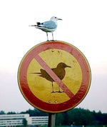 sike that's the wrong number - Sound