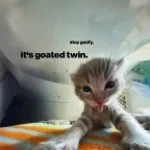 photoshop insta:viibellt