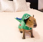 idk what song this is lol