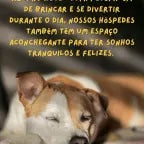 final anúncio hotel