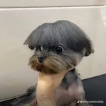 i woke up in a new bugatti