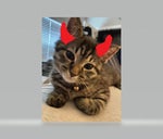 Metamorphosis by Interworld