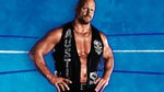 stone cold steve austin - Sound