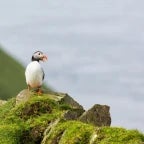 172dda7d9c86c691eb441f0a6c2d2e5c-[AudioTrimmer.com]