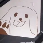 Classic tails lazer CHARGE