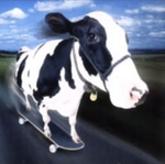 Coconut Mall Mario Kart Wii OST