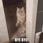 Goodbye