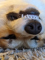 The Loneliest Time 1670710865 musicaldown