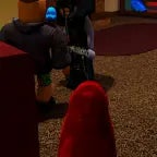 özür dilerim papağan