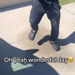 iOS 17 “Chirp” Ringtone