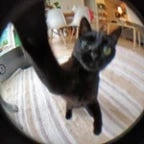 Goofy sound effects (copy)