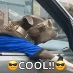 YungFuego What I like part 3