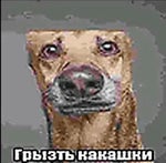 Грызть Какашки - Sound