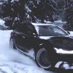 PORCO ZIO AUDI TOP 1 HS