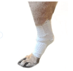 Help Yohsi (online audio converter